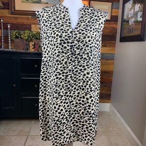 Charming Charlie Shift Dress